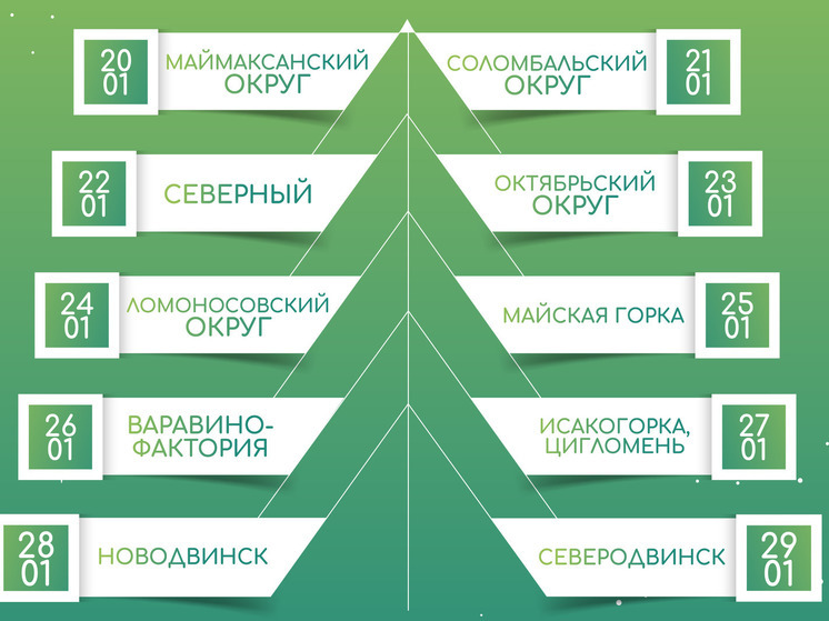 Подарить елке вторую жизнь смогут жители Архангельска, Северодвинска и Новодвинска