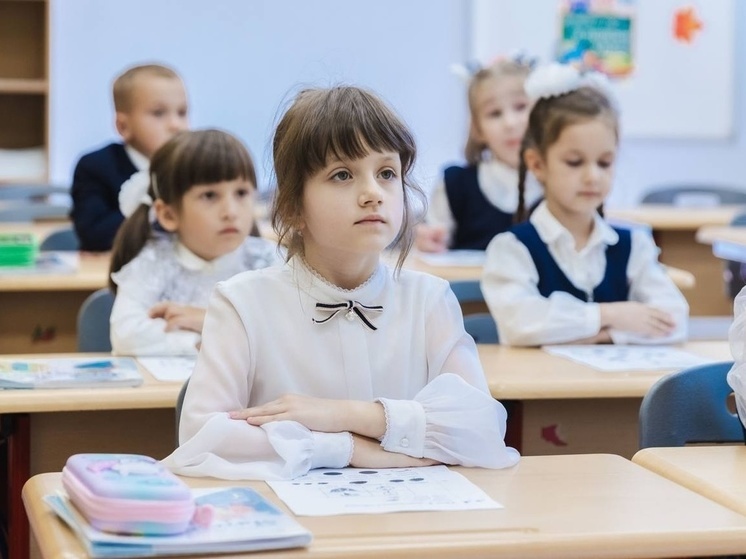 Пензенцам разъяснили, будут ли продлевать каникулы для школьников из-за метапневмовируса