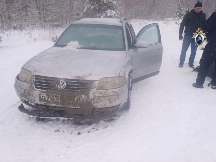 Следователи выясняют причину гибели  автомобилиста в водоеме в Кировском районе