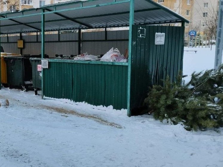 Тамбовчане начинают избавляться от новогодних ёлок