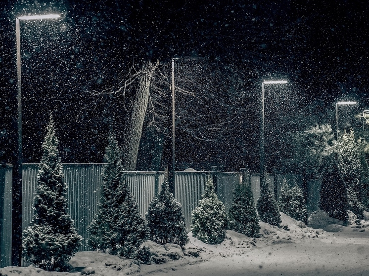 Уличное освещение в деревне Дубовое появится благодаря прокуратуре