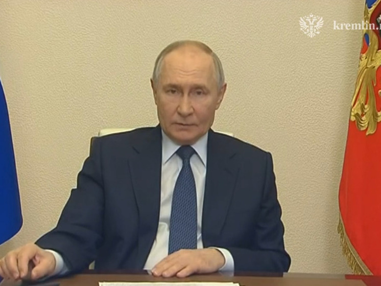 Владимир Путин поручил организовать штаб для борьбы с последствиями разлива мазута в Черном море
