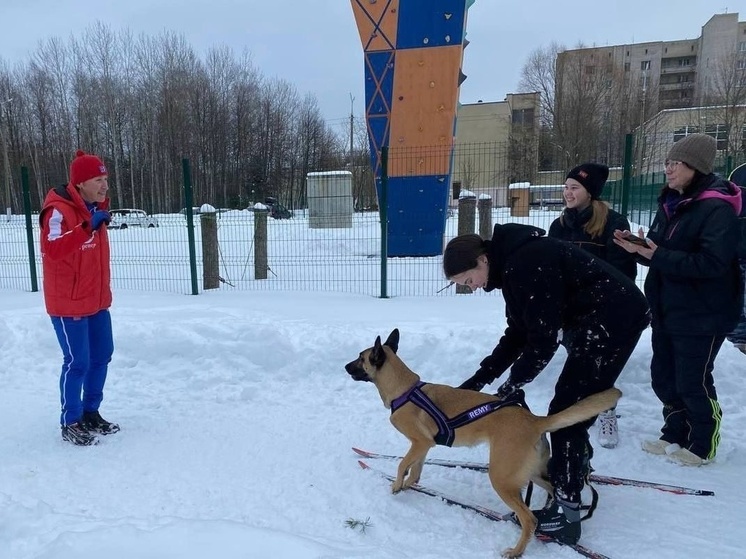 Тренировки по кинологическому спорту проходят для студентов Губернского колледжа в Серпухове