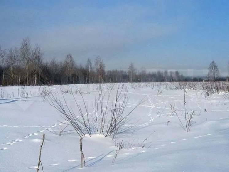 В Чебоксарах для участников СВО выделено 13 земельных участков