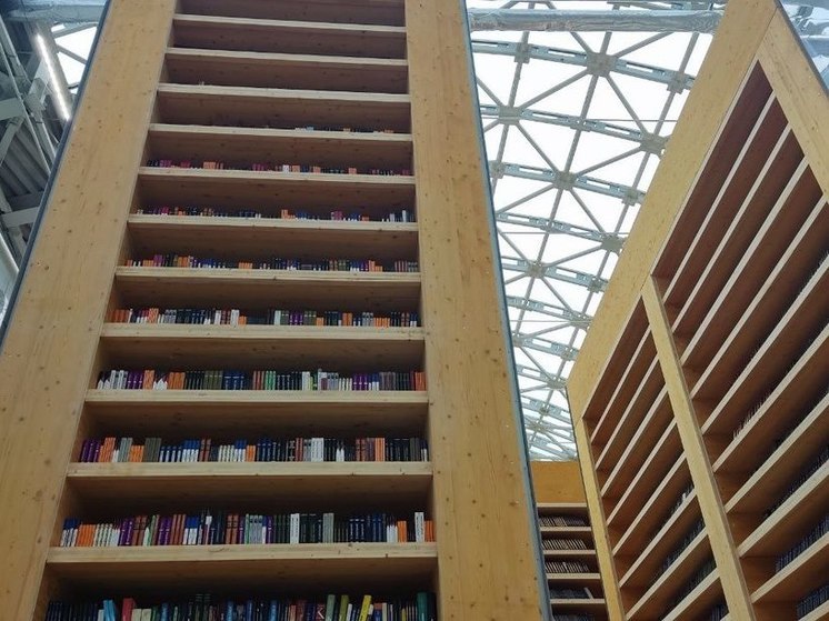 В областной научной библиотеке до 12 января объявили «Книжную амнистию»