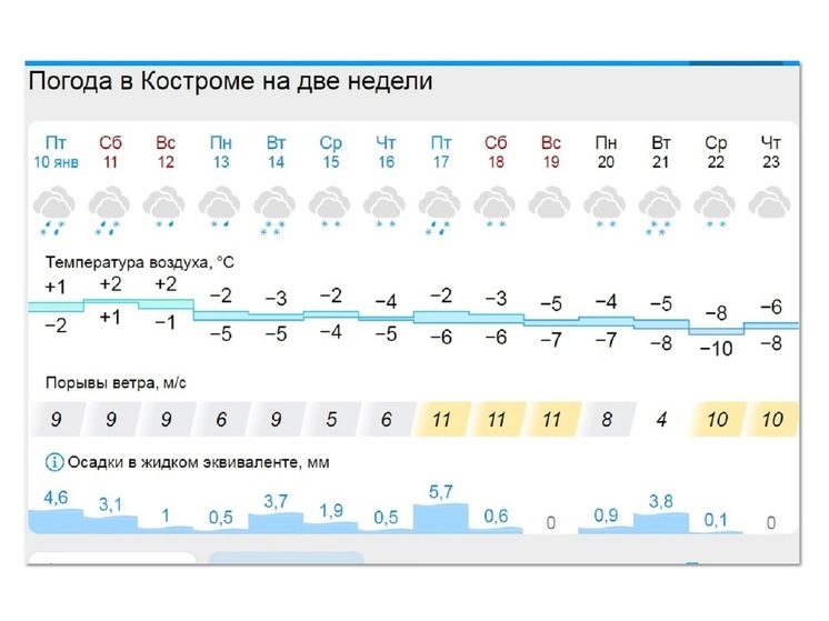 Крещенские морозы в Костроме отменяются