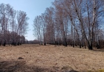 С января 2025 года управление землями сельскохозяйственного назначения в Омской области будет передано в компетенцию Земельного фонда региона