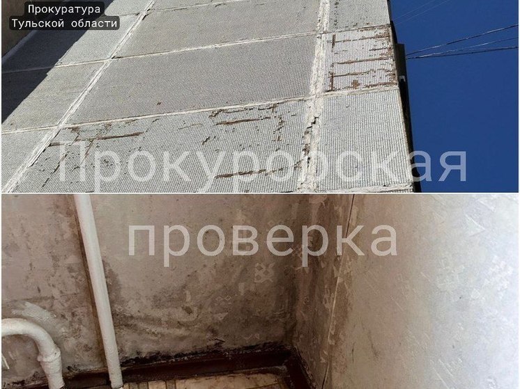 Наказание грозит тульской УК из-за плесени в квартире на Рязанской