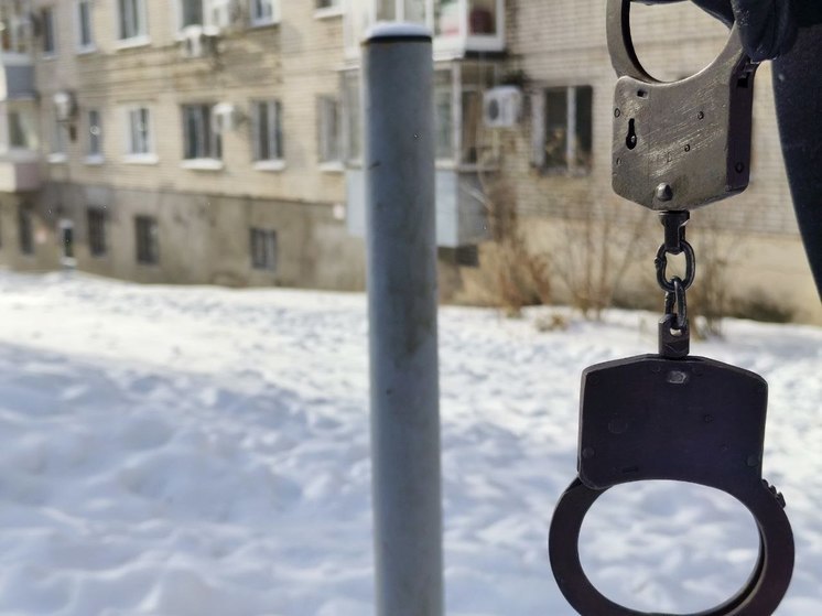 Застрелили лосей и отправились в СИЗО жители Амурской области