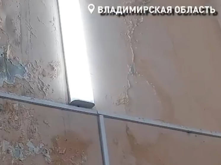 В деревенском ДК Гусь-Хрустального района волонтеры плетут сети под дождем