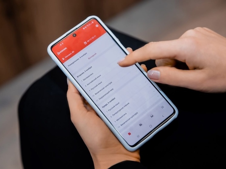 Новый электронный дневник в Липецкой области столкнулся с проблемами