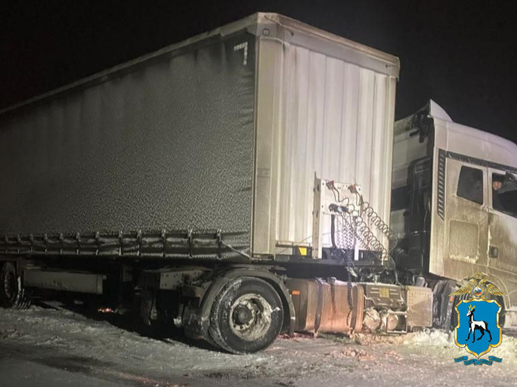 Полицейские Самарской области помогли водителю Scania выбраться из снежного плена