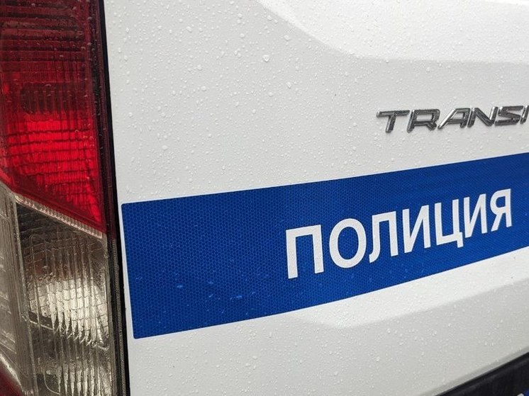 Полиция арестовала подозреваемого в избиении жителя Новогорелово в новогоднюю ночь