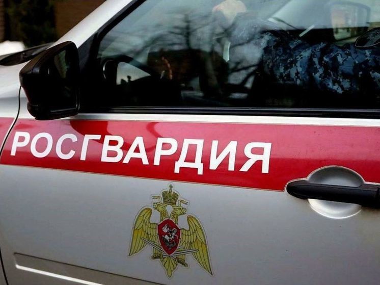 Женщина пыталась ограбить магазин в Одинцово, переклеив штрих-коды на товарах