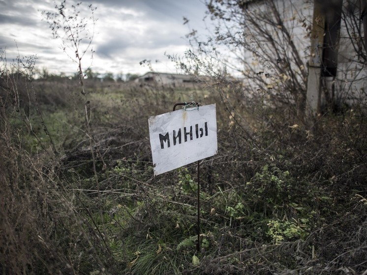 Боевики ВСУ разбросали мины «Лепестки» и «Колокольчики» в селе Большое Солдатское