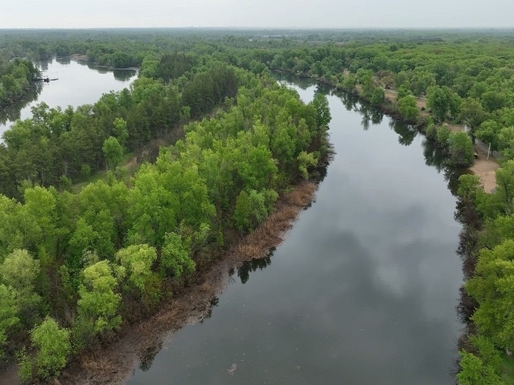 В Волгоградской области по новому нацпроекту расчистят 44 водных объекта