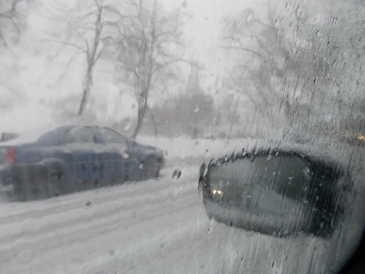 Мокрый снег и до +1 градуса будет в Ленобласти 11 января