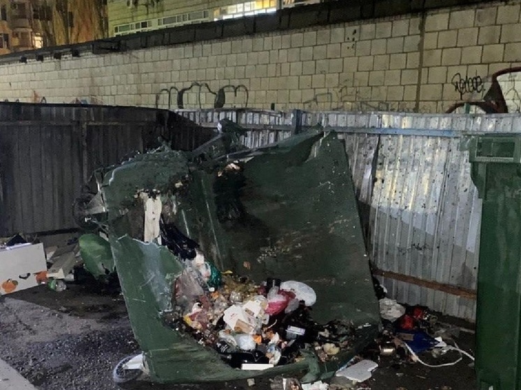 За новогодние праздники в Волгоградской области сгорели 40 мусорных баков