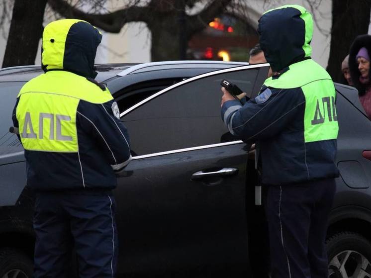 Госавтоинспекция организовала масштабные рейды в центре Рязани 10 января