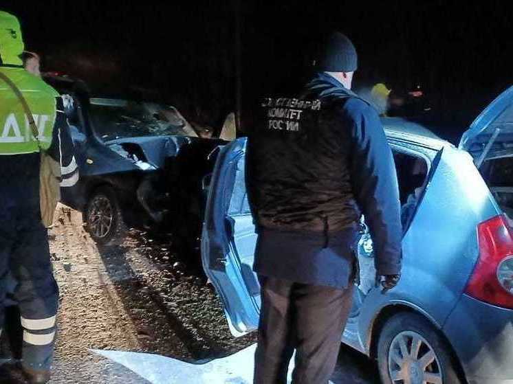 В факту смертельного ДТП в декабре возбуждено уголовное дело