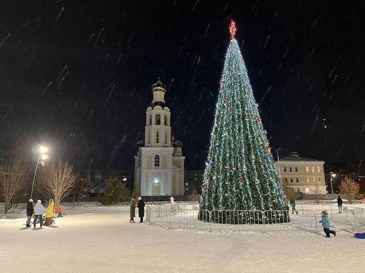 Ëлка из Бузулука вышла в финал Всероссийского конкурса