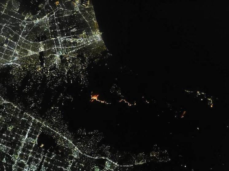 Daily Mail: начальницу пожарной службы Лос-Анджелеса выгнали с работы после критики в адрес мэра