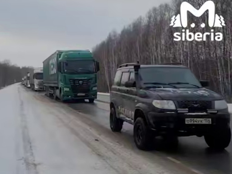 Перевёрнутая фура создала огромную пробку между Новосибирском и Кемерово