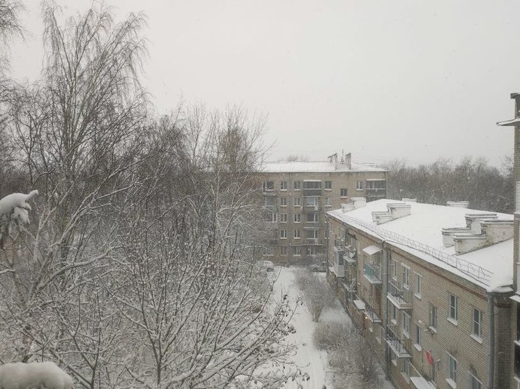 Осадки в Петербурге перевыполнят декабрьскую норму