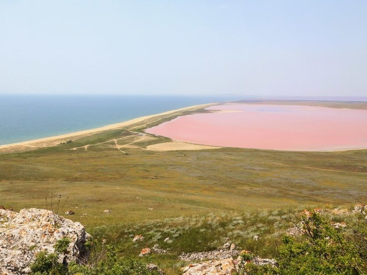 В 2025 году выйдет новое издание Красной книги Крыма