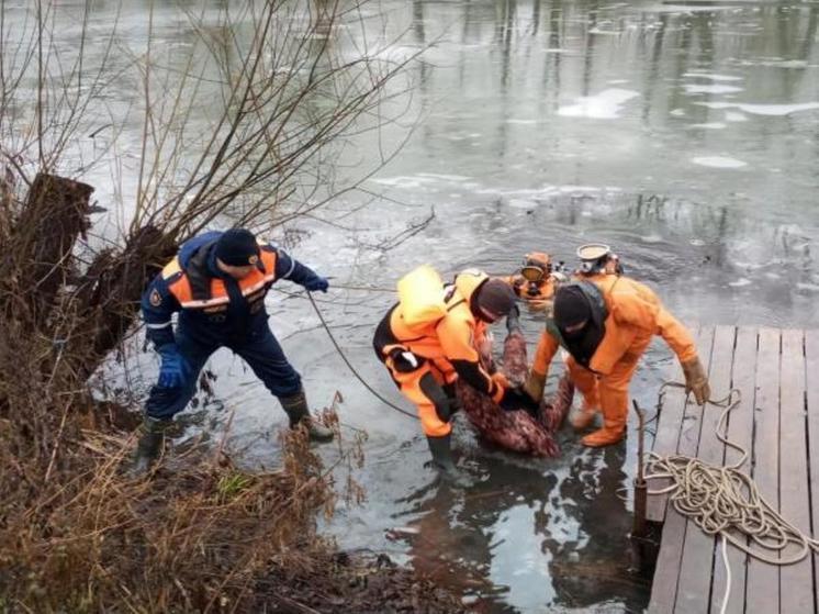 Липецкие спасатели вытащили из реки Воронеж мужчину в камуфляже