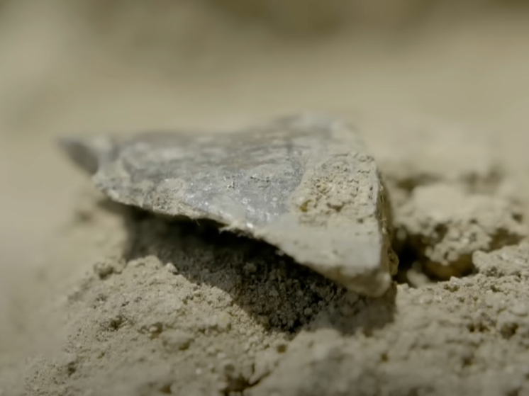 Найдены инструменты возрастом 3 миллиона лет