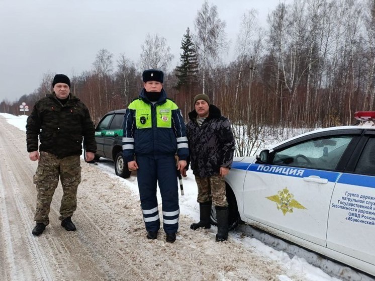 Лесная охрана Чувашии рассказала об итогах мероприятий по сохранению елок