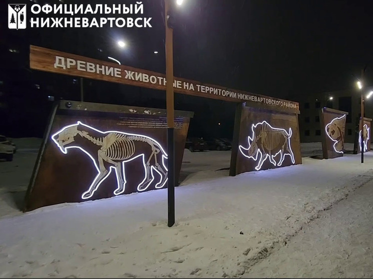 В Нижневартовске появилась топиар-парковка