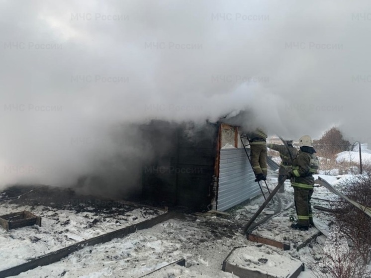 Под Екатеринбургом в СНТ вспыхнули две бани и надворные постройки