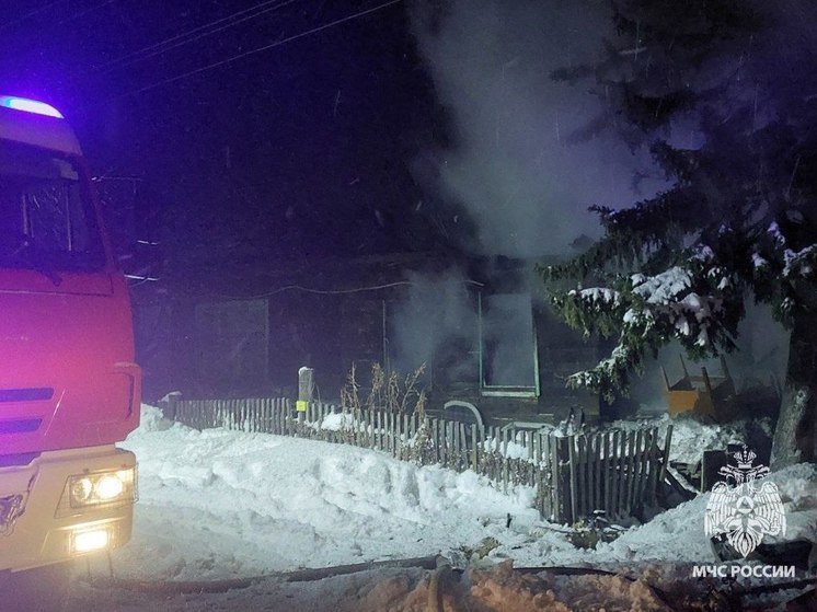 В Томском районе пожарные спасли из горевшего дома двух детей