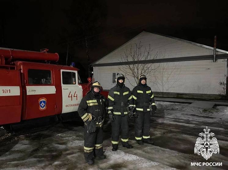 Пожар в Тверской области едва не унес человеческую жизнь