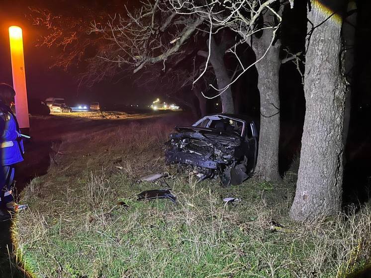В Кореновском районе погиб водитель иномарки, наехавшей на дерево