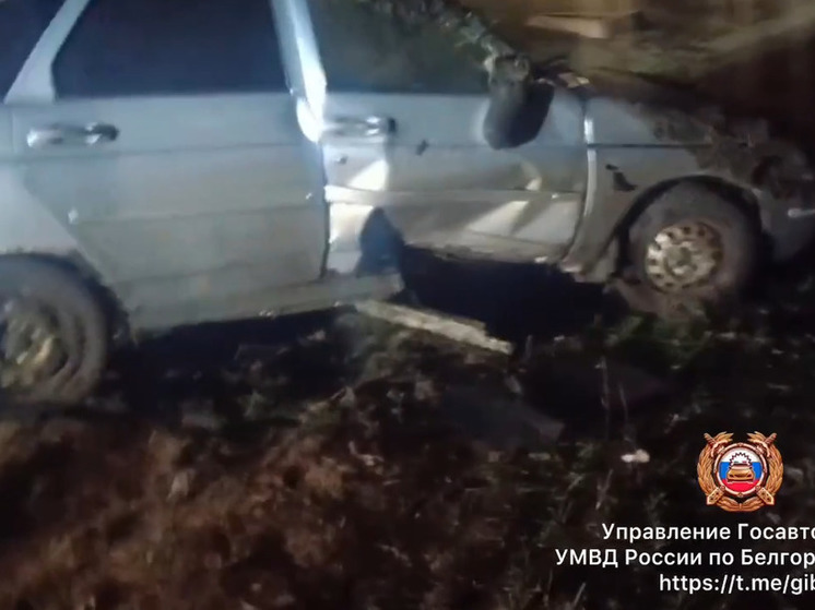 Частное Видео Белгород