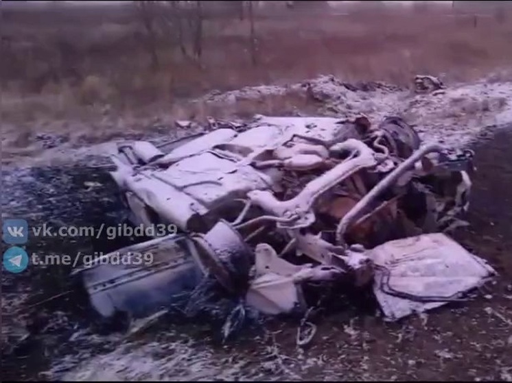 Полицейские рассказали подробности жуткой аварии из-за лошади под Калининградом