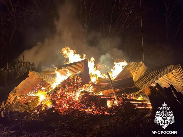 В Тверской области женщина заживо сгорела в собственном доме