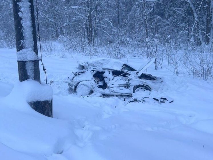 Женщина погибла в такси при ДТП с электрической в Ленинградской области