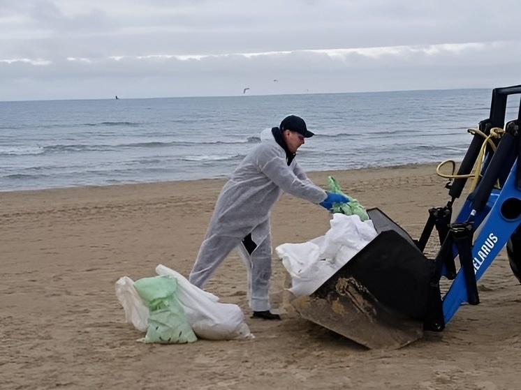 Липецкие моржи помогают очищать берег Чёрного моря от мазута