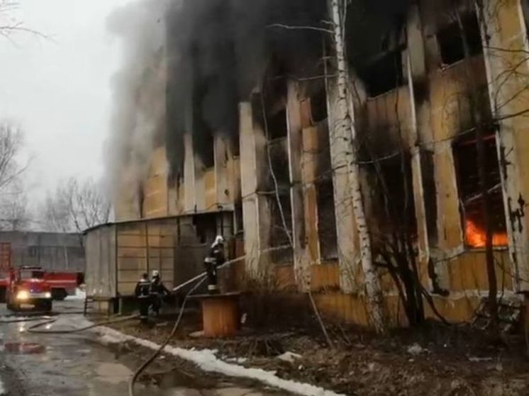 Стали известны подробности о крупном пожаре в Химках