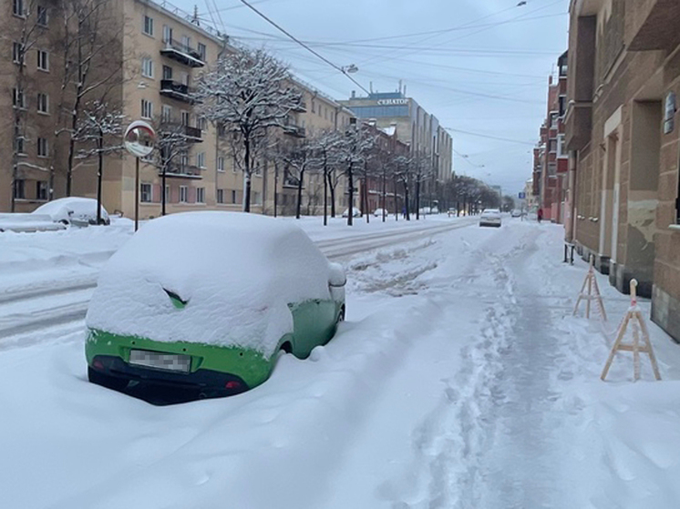 В Петербурге январские осадки превысили норму в восемь раз