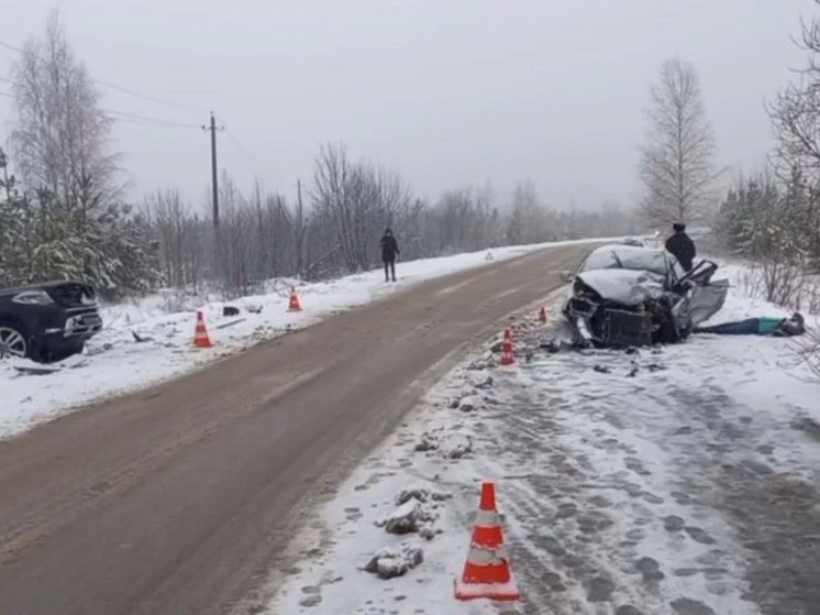 Смертельное ДТП произошло в Выксе Нижегородской области