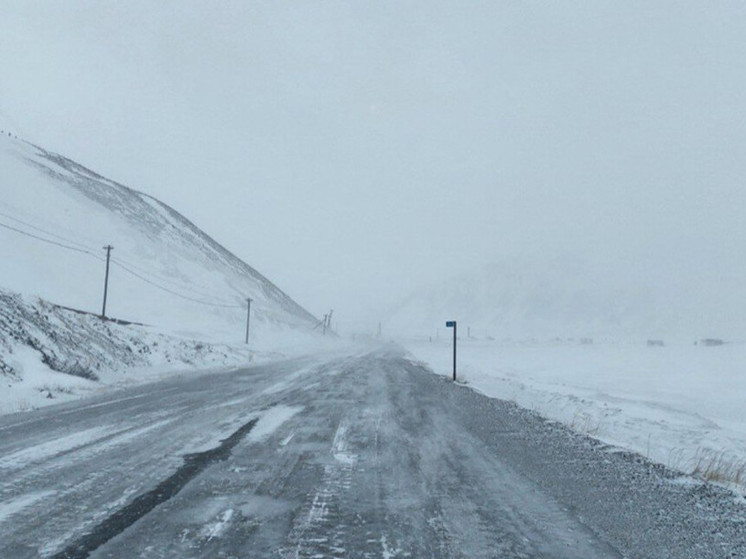 Волонтеры помогли потерявшемуся жителю Сиреников вернуться домой