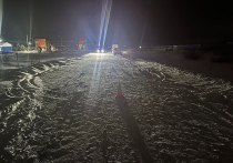 Смертельный наезд произошёл на автомобильной дороге между Зоркальцево и Берёзкино около часа ночи в субботу, 11 января