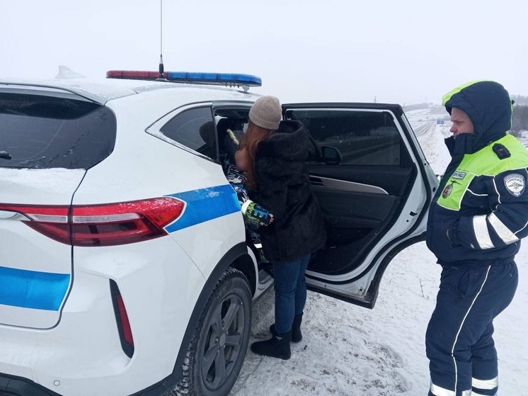 Экипаж ДПС помог семье с ребенком на трассе под Вольском