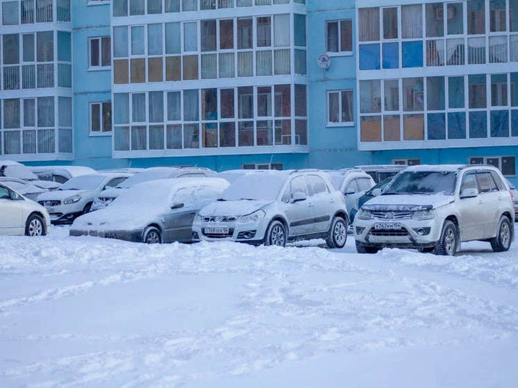 В Новосибирской области ожидаются сильные порывы ветра до 20 м/с