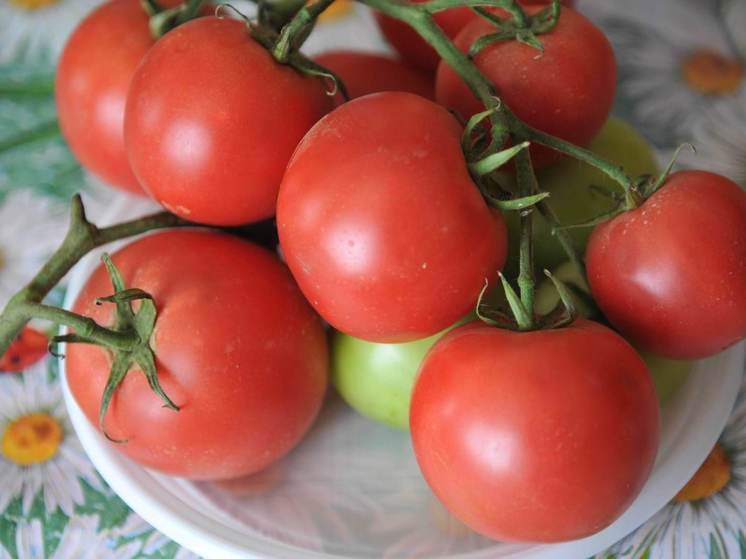 Волгоградцам назвали вкусные сорта помидоров для посадки